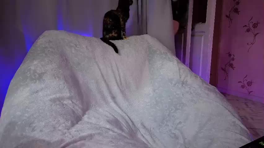 savannasotos Приват Записи 2026-04-22