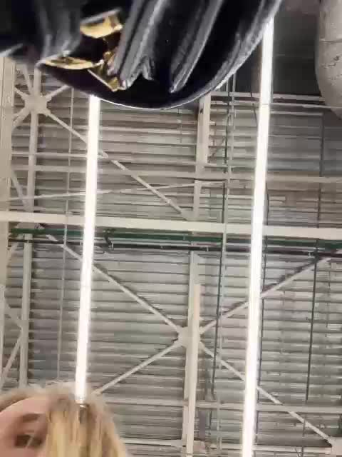 JJane- Приват Записи 2026-04-22