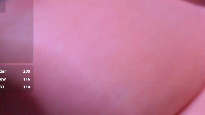 thewizardli Приват Записи 2026-04-22