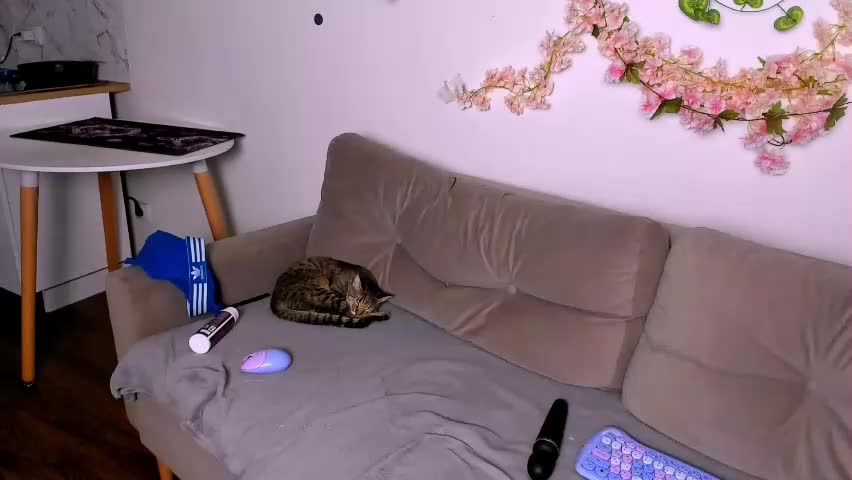 ladytrep Приват Записи 2026-04-22