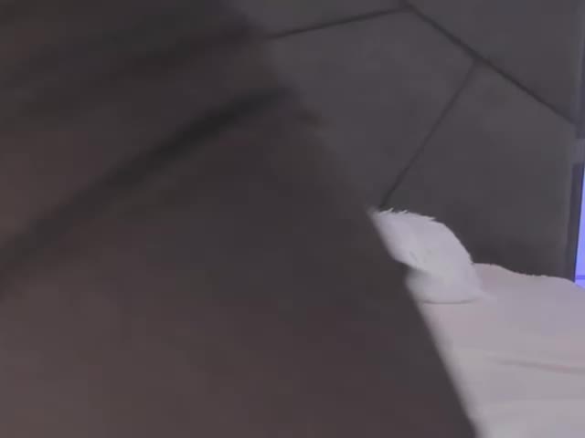 HollyTaillor Приват Записи 2026-04-23