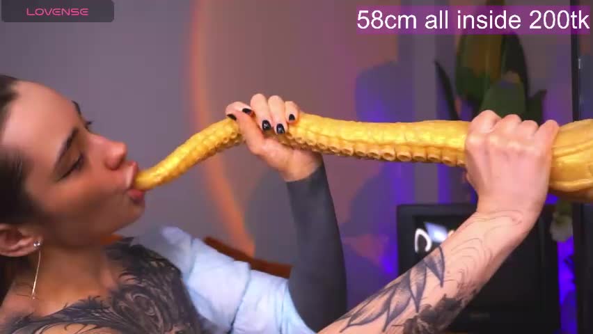 evarabbit Приват Записи 2026-04-23