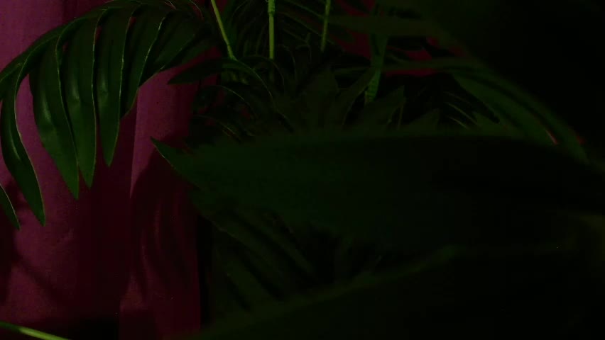 imcarrieberry Приват Записи 2026-04-24