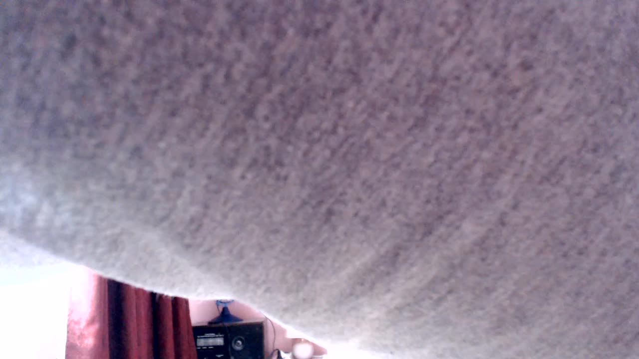 Veta-Viola Приват Записи 2026-04-24