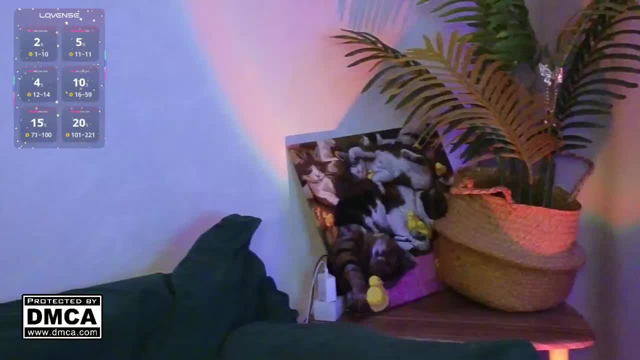 AliceWyliee Приват Записи 2026-04-30