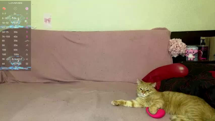kittywithyou Приват Записи 2026-05-05