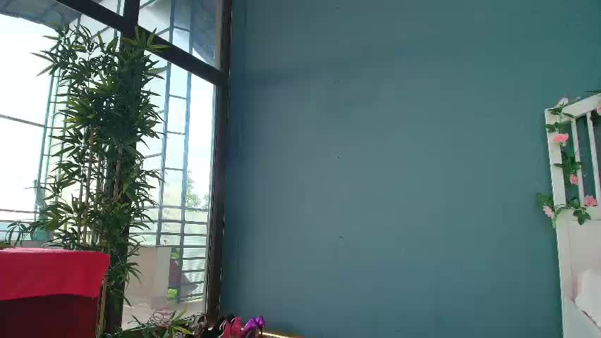 _parishill Приват Записи 2026-05-08