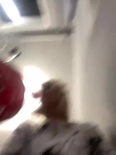 freakfarm Приват Записи 2026-05-08