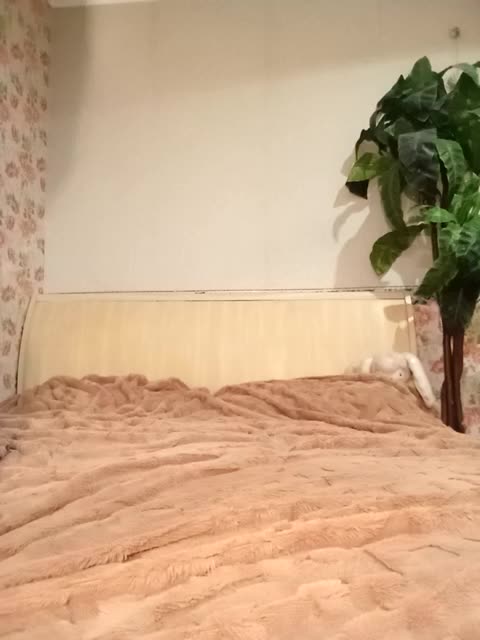 BekkiSharp Приват Записи 2026-05-29