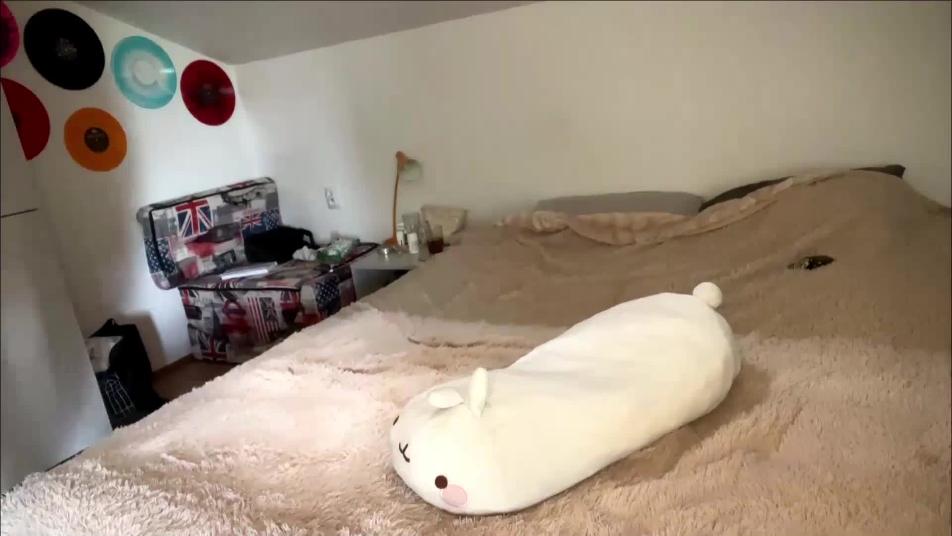 purrwhisp Приват Записи 2026-05-29