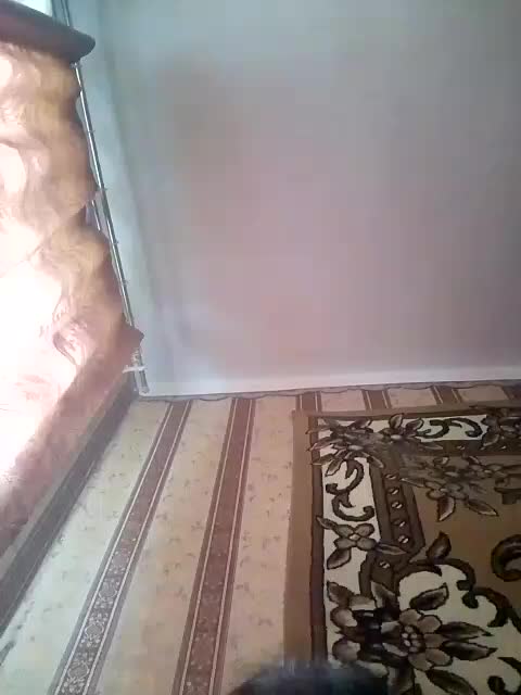 alondra1557 Приват Записи 2026-06-08