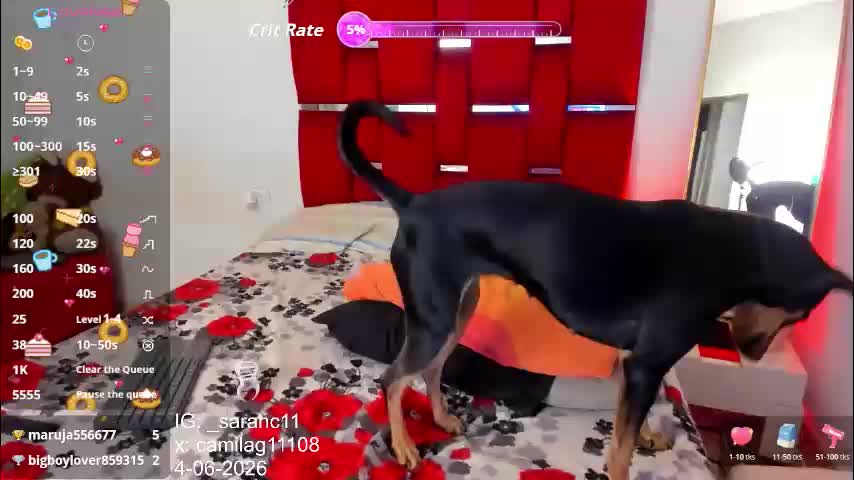 camila_hot_tss Приват Записи 2026-06-10