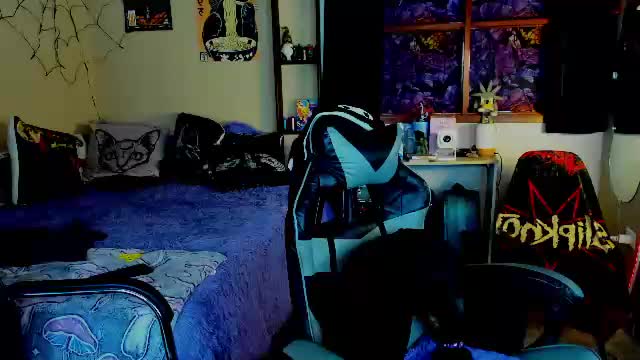 xzerox_ Приват Записи 2026-06-11