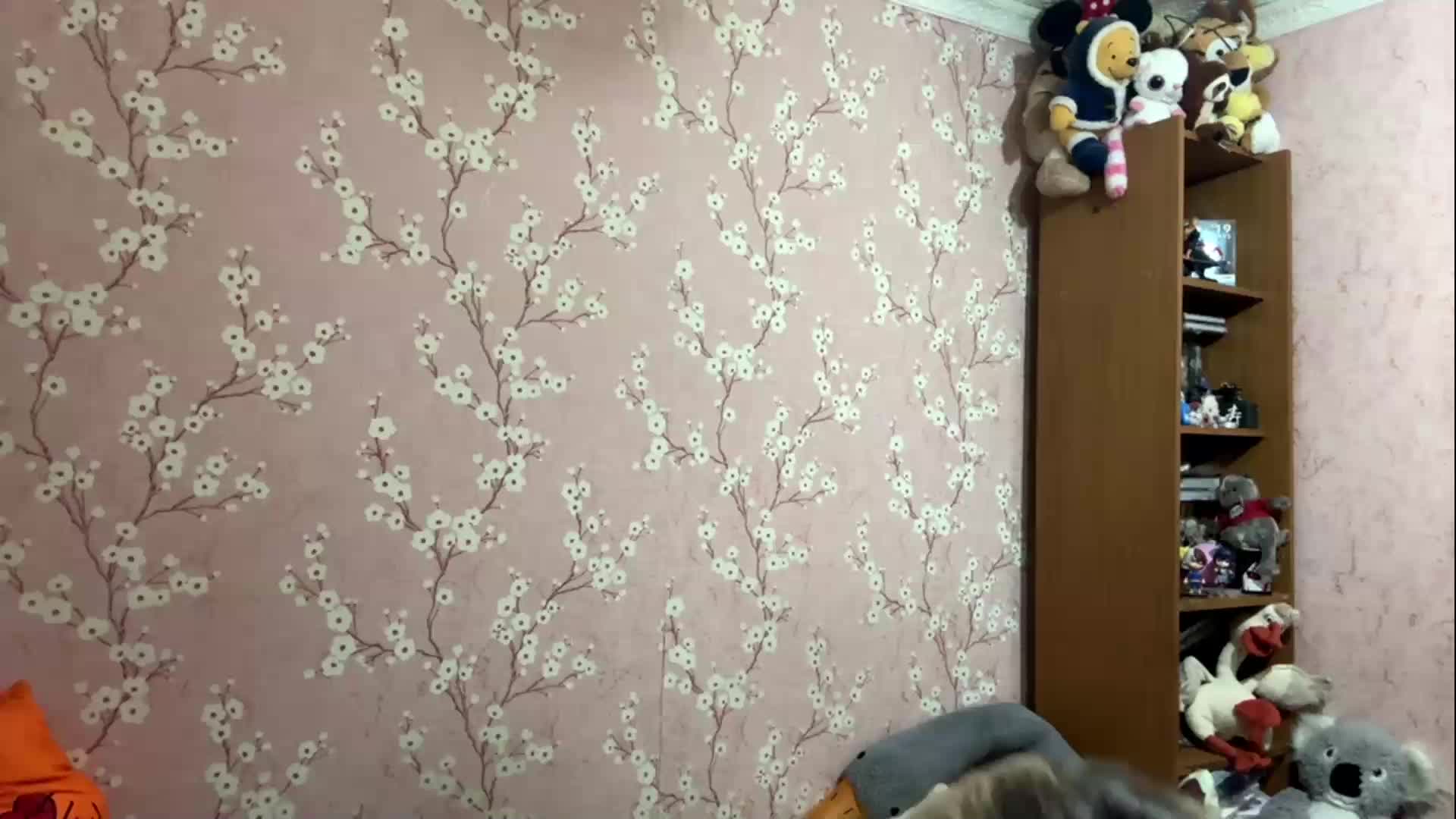 VelvetNightX Приват Записи 2026-06-12