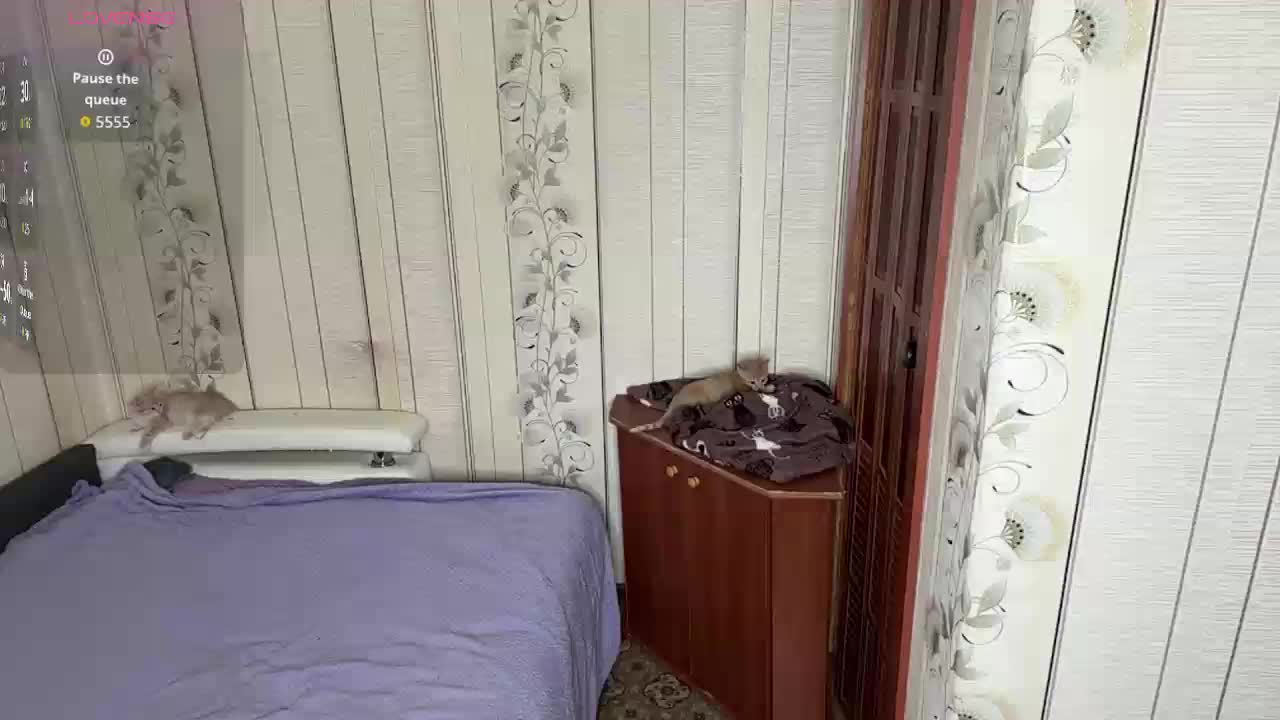 AlysonBussiere Приват Записи 2026-06-13