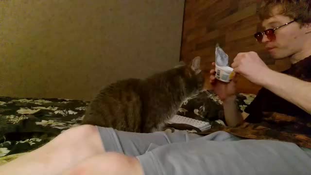 sweathome Приват Записи 2026-06-14