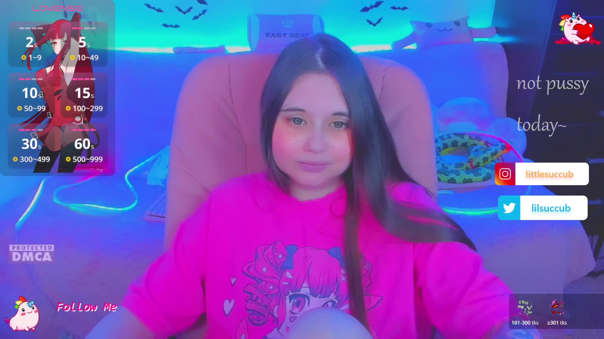 LoliSuccub Приват Записи 2026-06-15