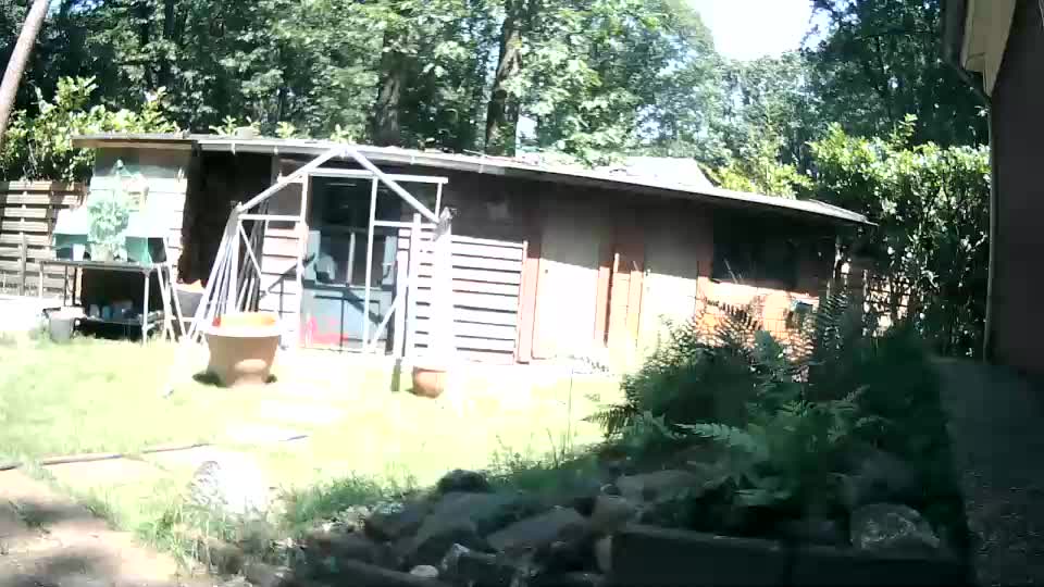 woodwurm Приват Записи 2026-06-20
