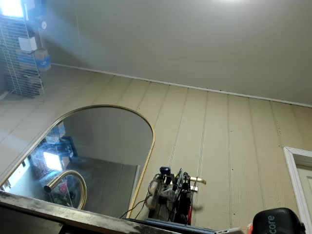 Adellebunny Приват Записи 2026-07-10