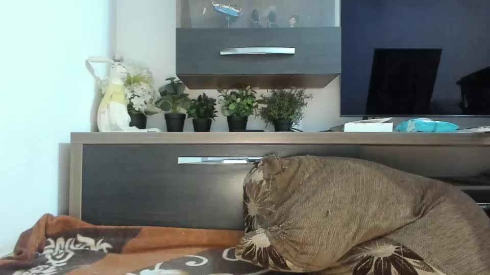 mellbell_ Приват Записи 2026-07-17