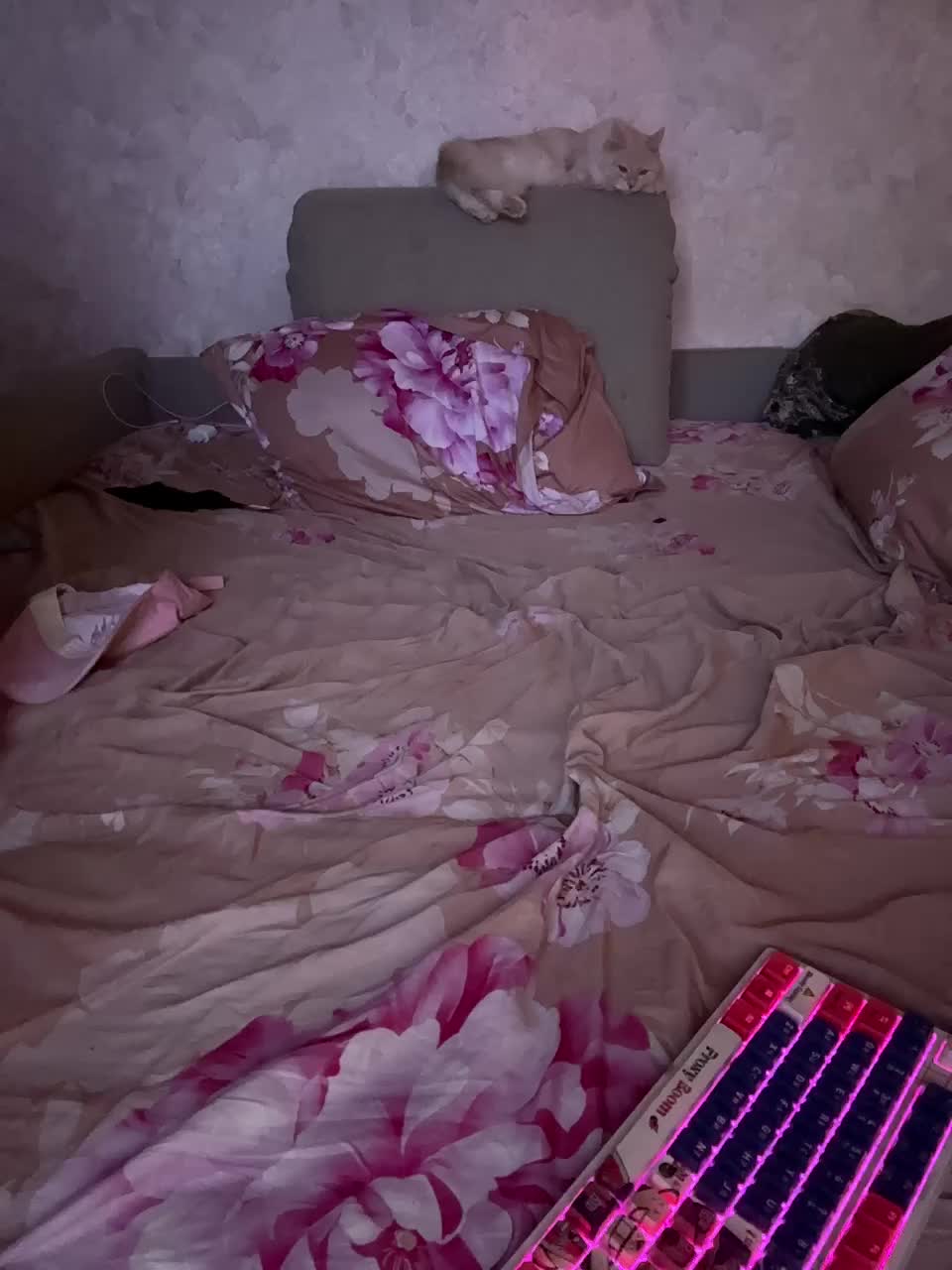 Love1day Приват Записи 2026-07-25