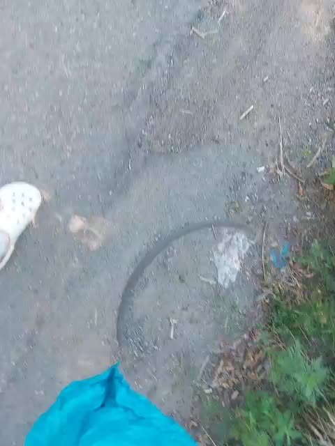 Napoliana Приват Записи 2026-08-01