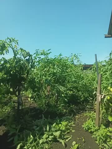 5Afrodita5 Приват Записи 2026-08-05