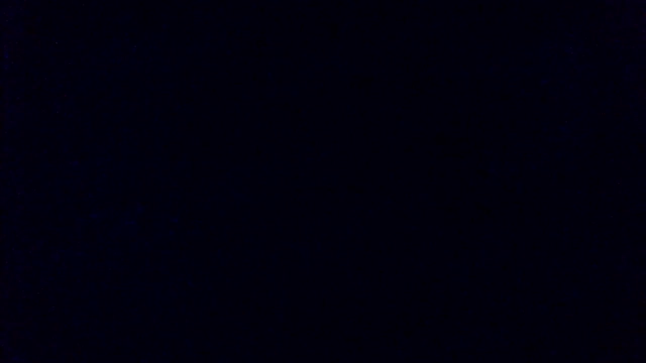 kotenokkkk Приват Записи 2026-08-11