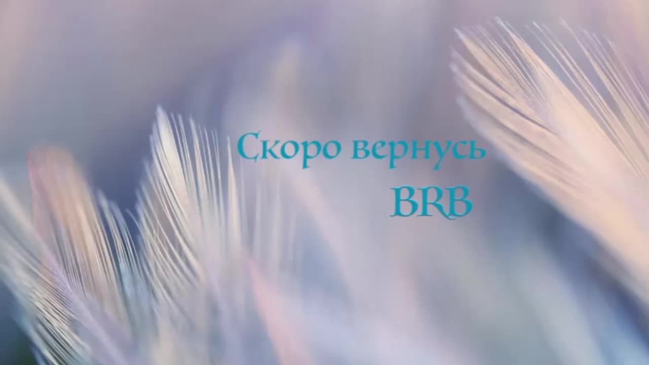 -lost- Приват Записи 2026-08-12