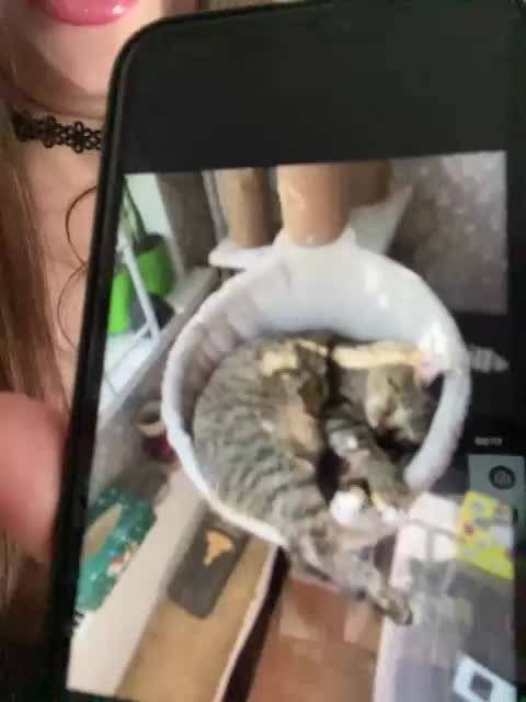 Alisia_Purr Приват Записи 2026-08-16