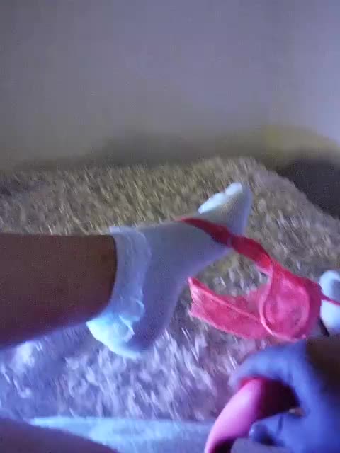 Piff_Pawlady Приват Записи 2026-08-18
