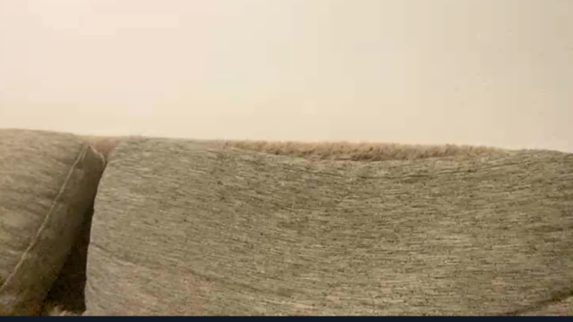 EsterGreenley Приват Записи 2026-08-20