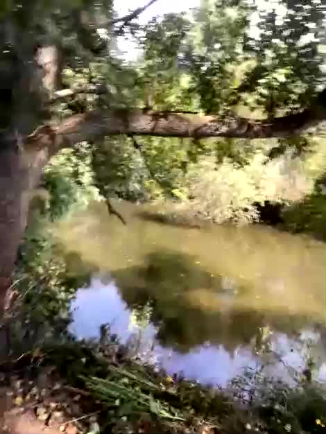 ruma_vibe Приват Записи 2026-08-21