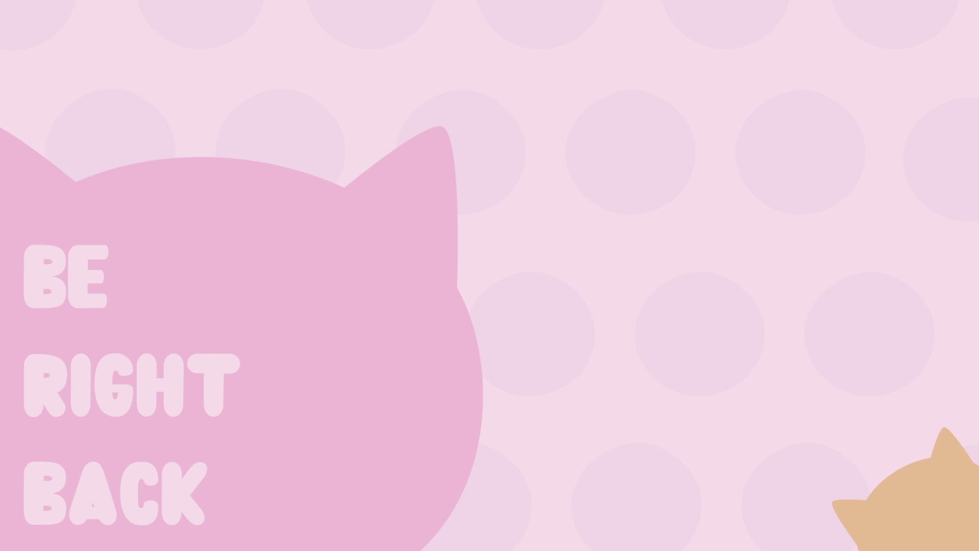 HolyCute Приват Записи 2026-08-27