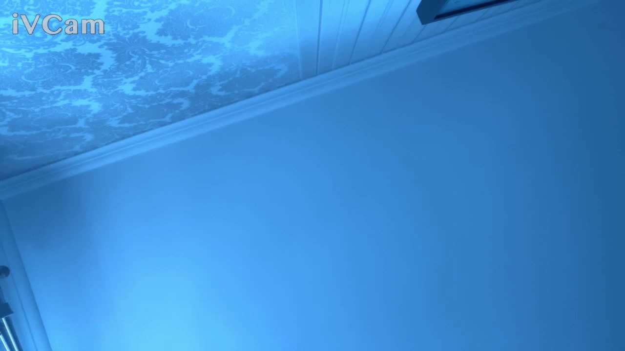 kotenokkkk Приват Записи 2026-08-29