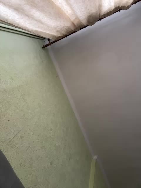 ViollaSweetA Приват Записи 2026-09-07