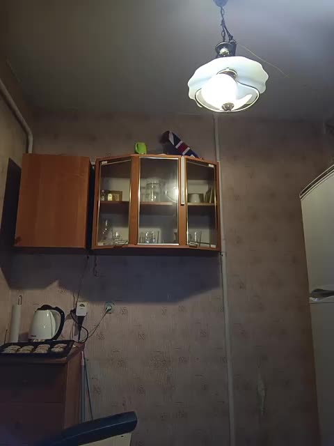 ShellBixAngeLL Приват Записи 2026-09-15