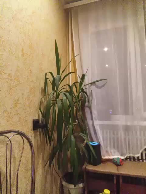Sweet_Symphony Приват Записи 2026-09-16