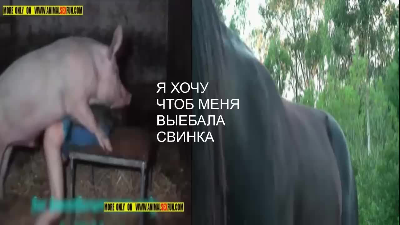 PolinaMayner Приват Записи 2026-09-26