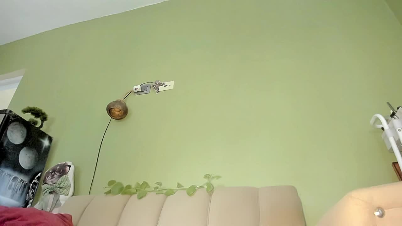 Mspurrfect Приват Записи 2026-10-08