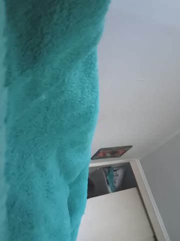 Anastacia_lasexy Приват Записи 2026-10-14