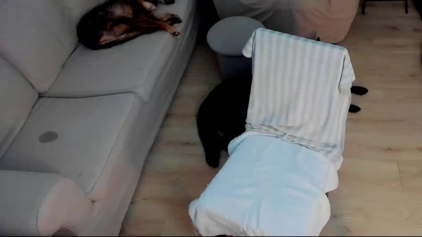 Squirt_Kimm Приват Записи 2026-10-14