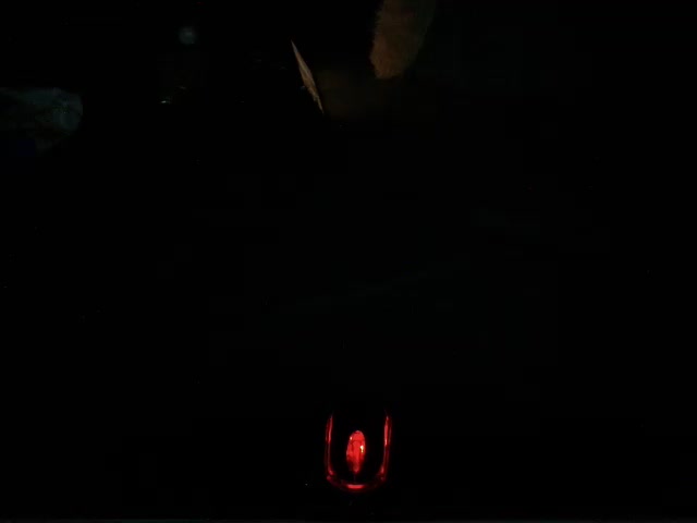 sexxytracy Приват Записи 2026-10-18