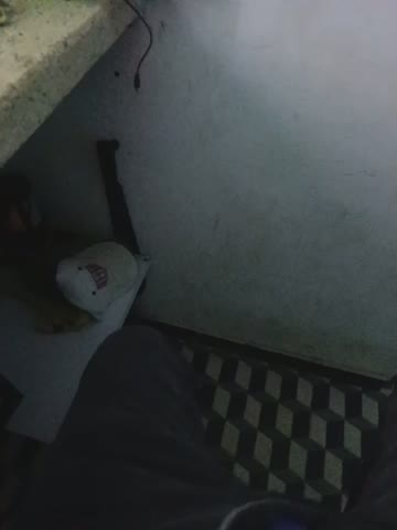 Romeo_sex15 Приват Записи 2026-10-20