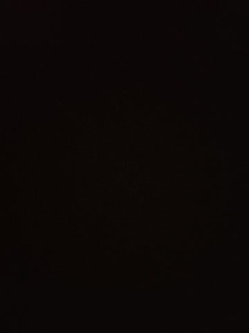 Letslivewildimagination Приват Записи 2026-10-26