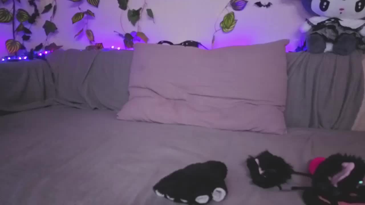 kawaiikitty Приват Записи 2026-10-26