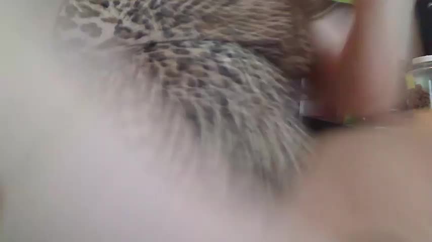 Ireallysquirt Приват Записи 2026-10-29